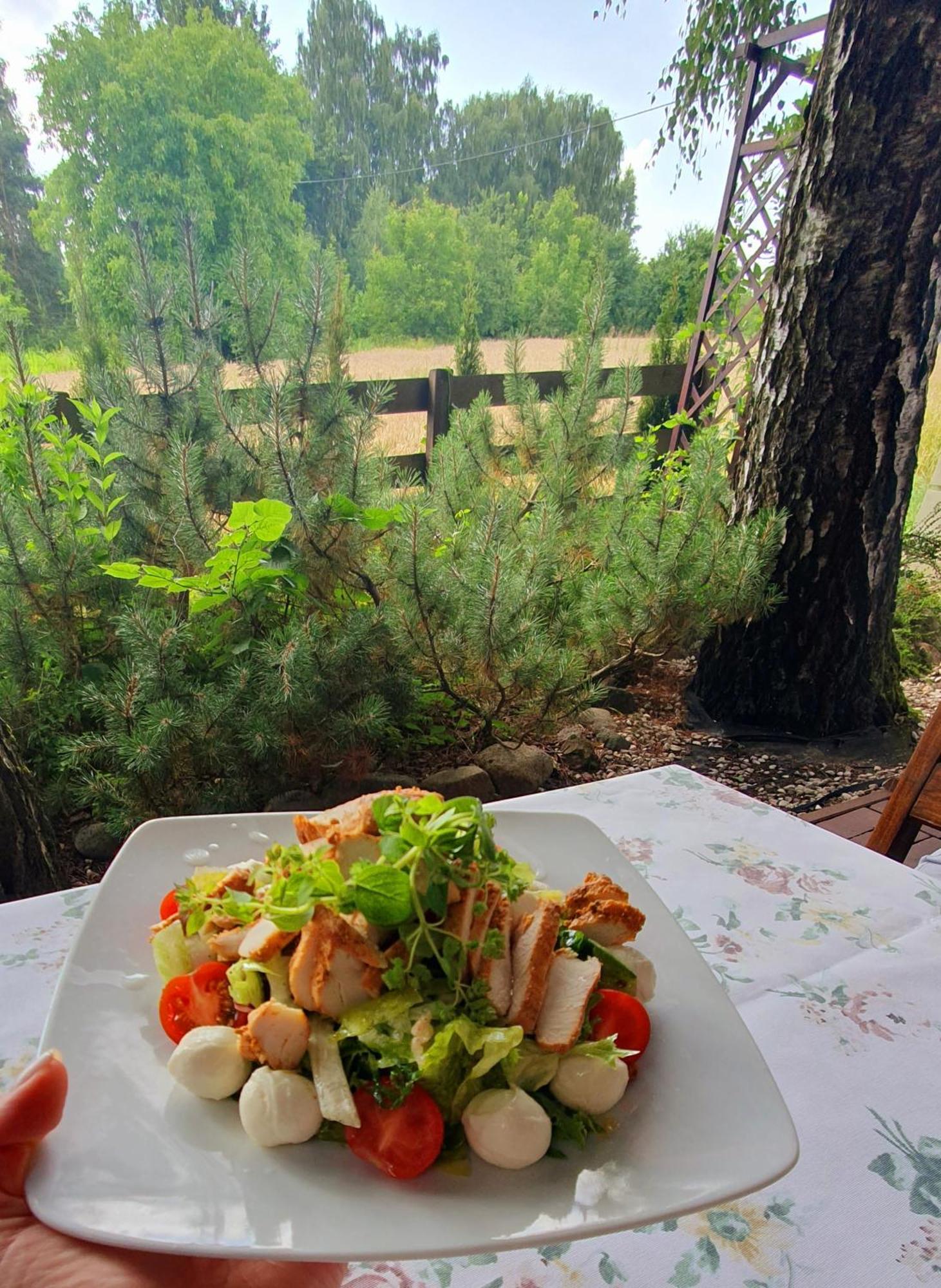 Dwor Anna Bed & Breakfast Ciecierzyn Dış mekan fotoğraf