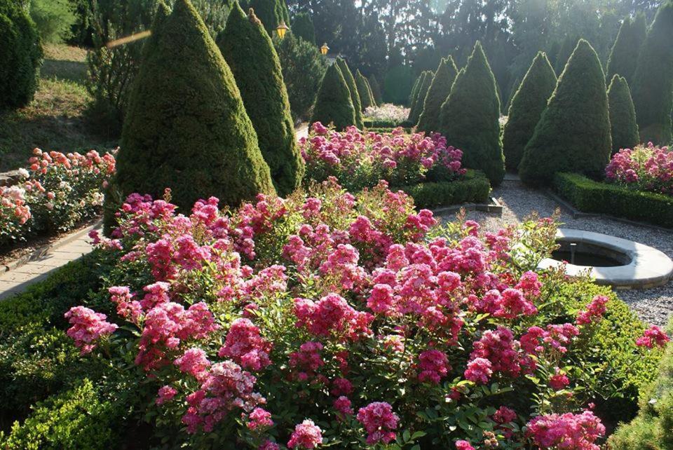 Dwor Anna Bed & Breakfast Ciecierzyn Oda fotoğraf